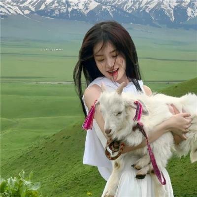 龙非龙凤非凤