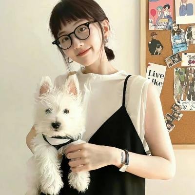 雾中来客
