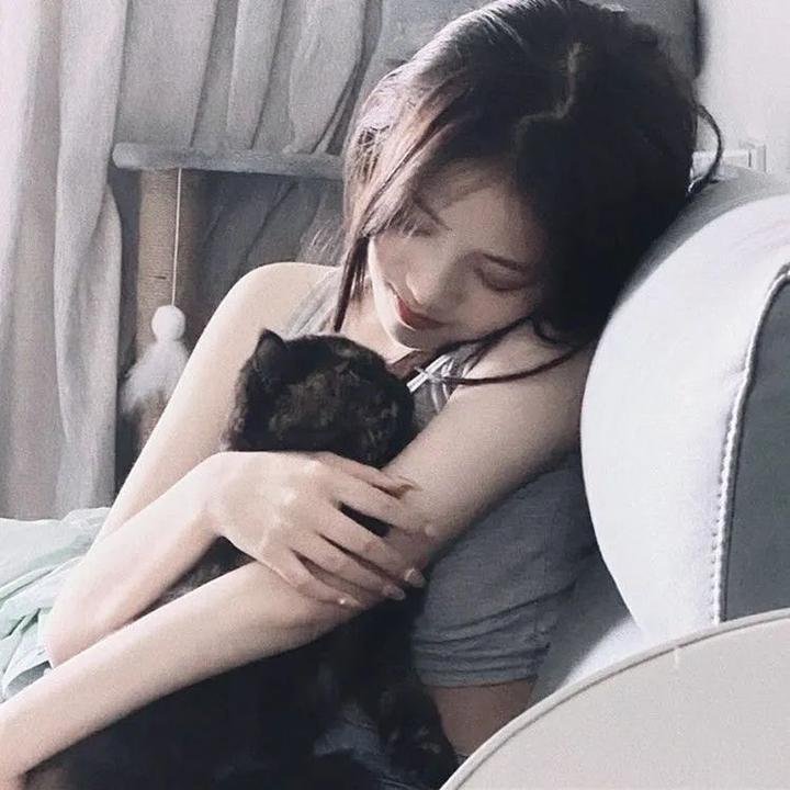 蓬门绮梦